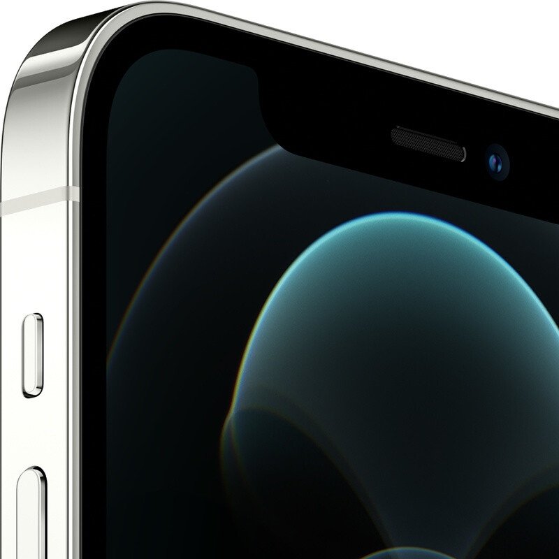 Мобильный телефон Apple iPhone 12 Pro Max 256GB A2411 Silver Мобильный телефон Apple iPhone 12 Pro Max 256GB A2411 Silver