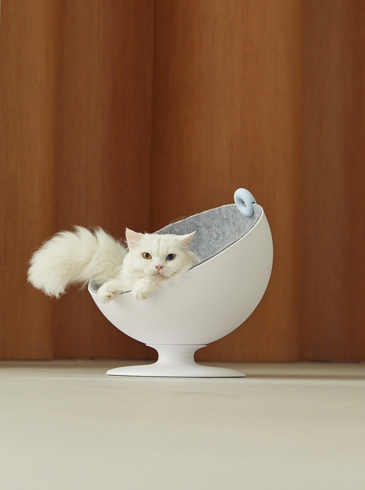 Ұлдары бар жетілген әйелдердің порно видеолары